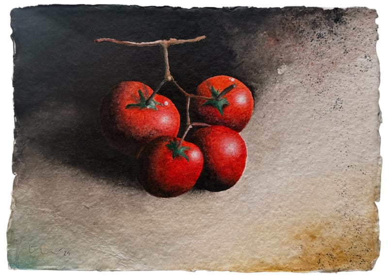 Tomate en rama (2024)