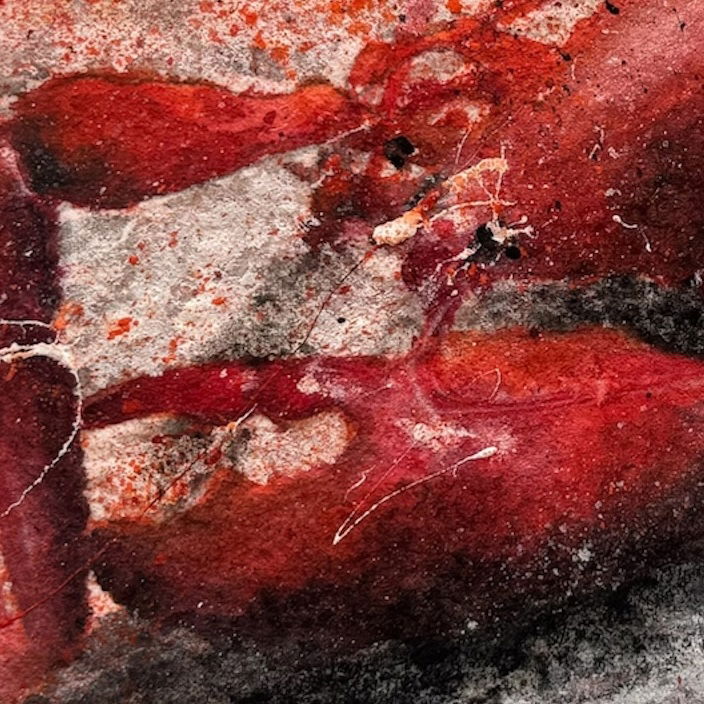 Langosta I en hielo y Langosta II en hielo (2024)