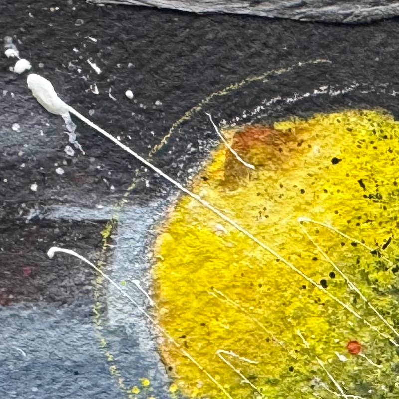 Limón planeta y Naranja planeta (2023)