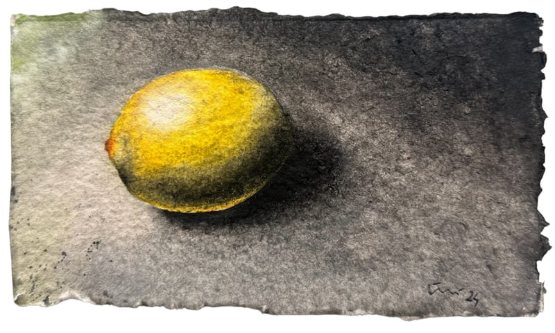 Limón I y Limón II (2024)