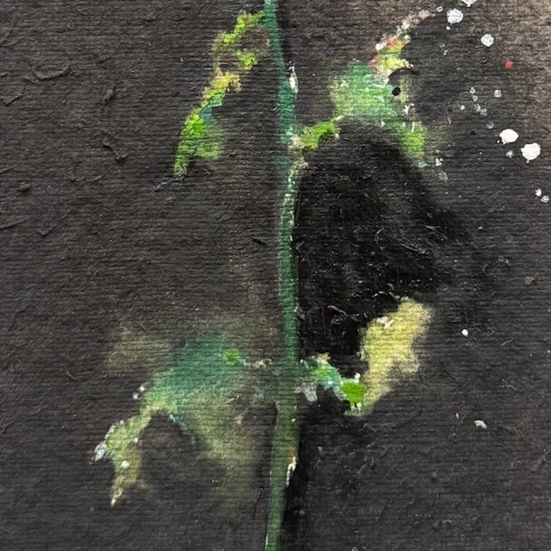 Flor I y Flor II (2023)