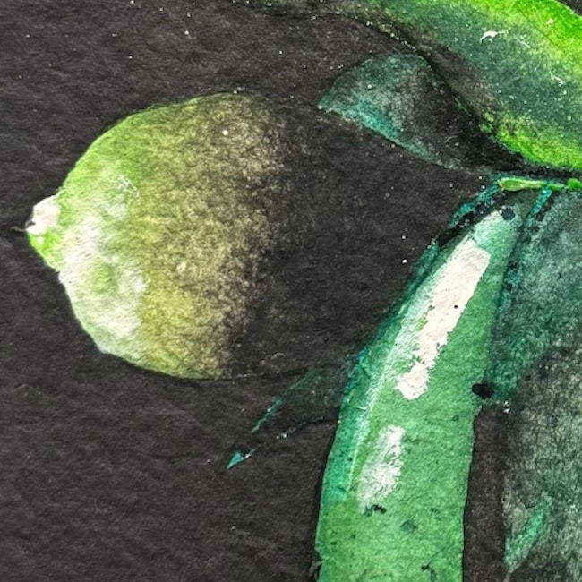 Mi limón, mi limonero... (2024)