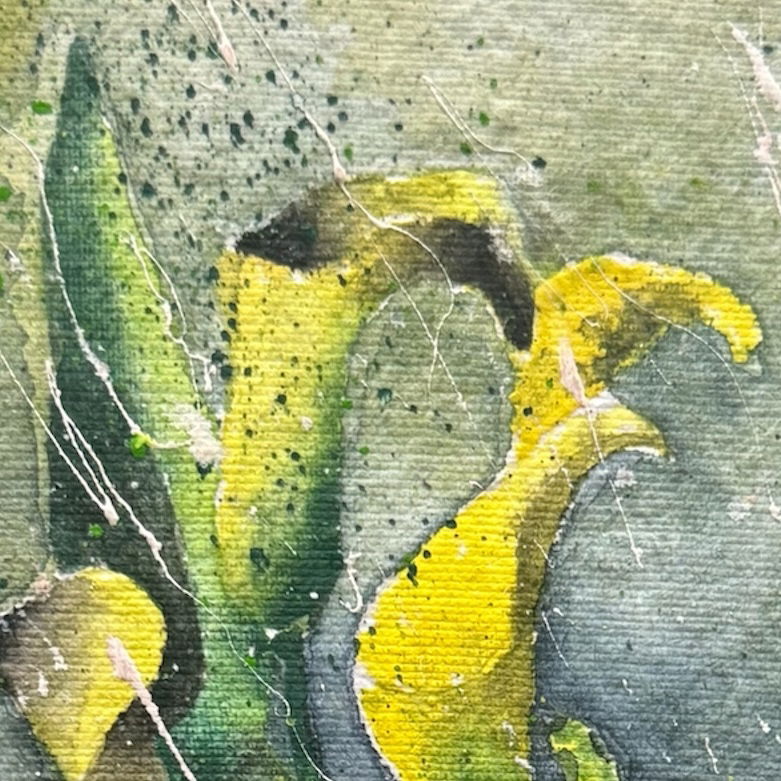 Calas amarillas (2023)