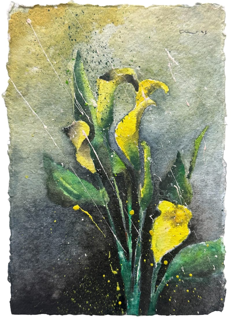 Calas amarillas (2023)