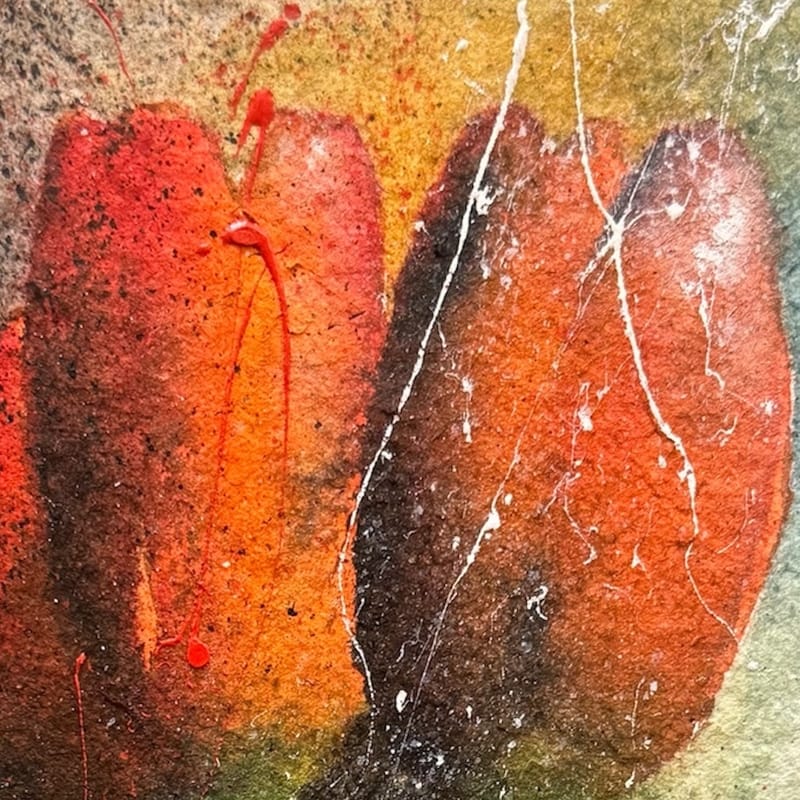 Naranja (color), 2024