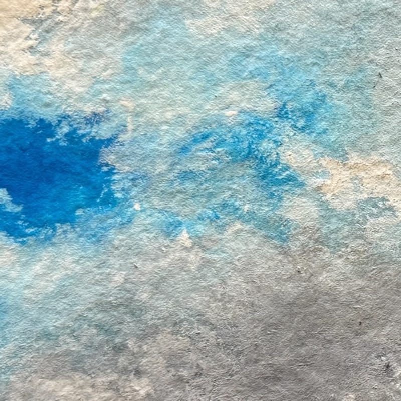 Perfil de bosque (2024)