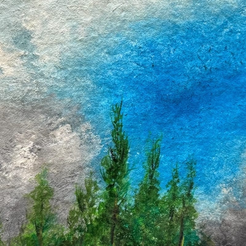 Perfil de bosque (2024)