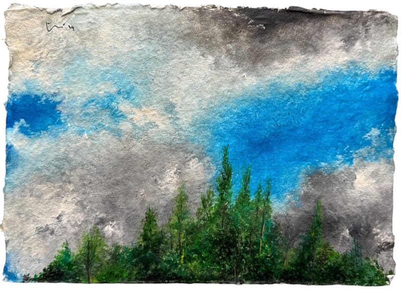 Perfil de bosque (2024)