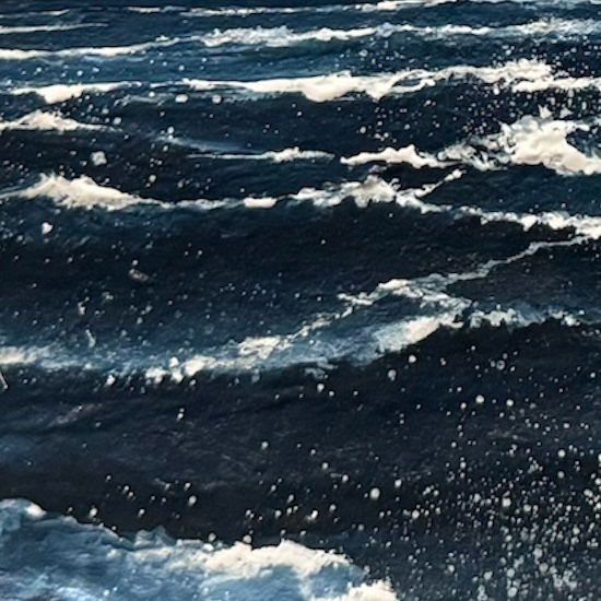 Destellos de la noche (2025)