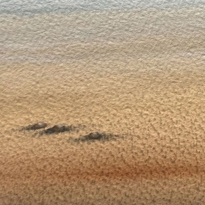 Tres cantos II (2025)