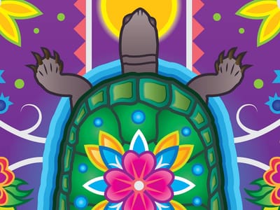 Art of Turtle Island image