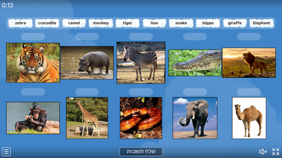 תרגול חיות - משחק און ליין