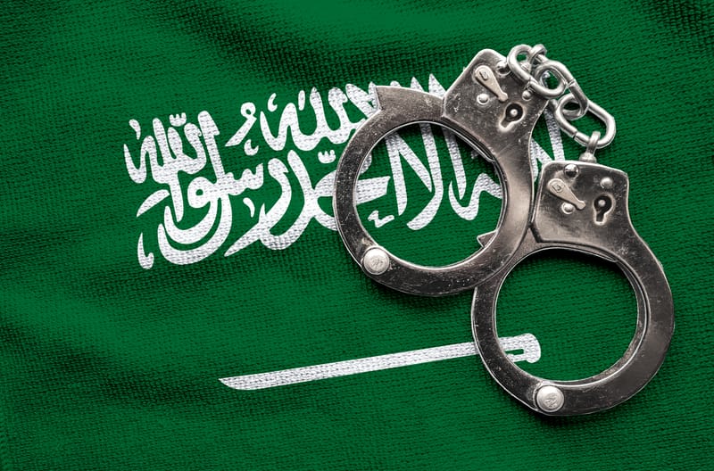 أنواع الدعاوى القضائية في المملكة العربية السعودية