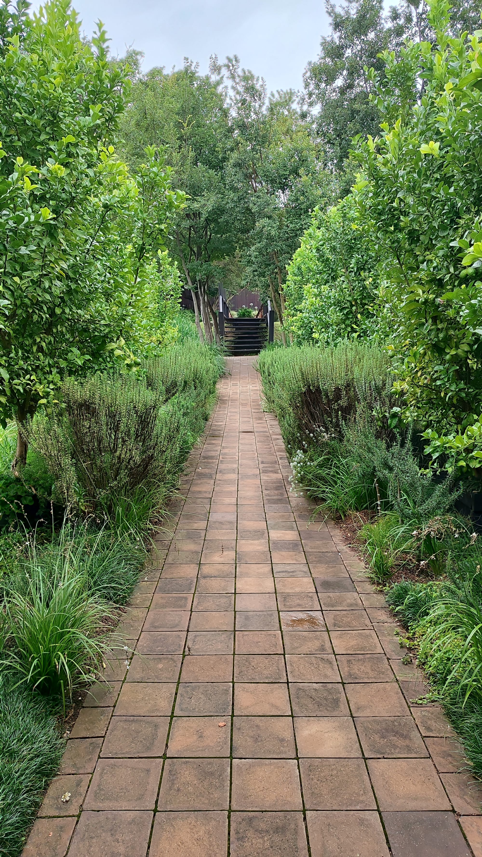 Cradle Valley Wedding