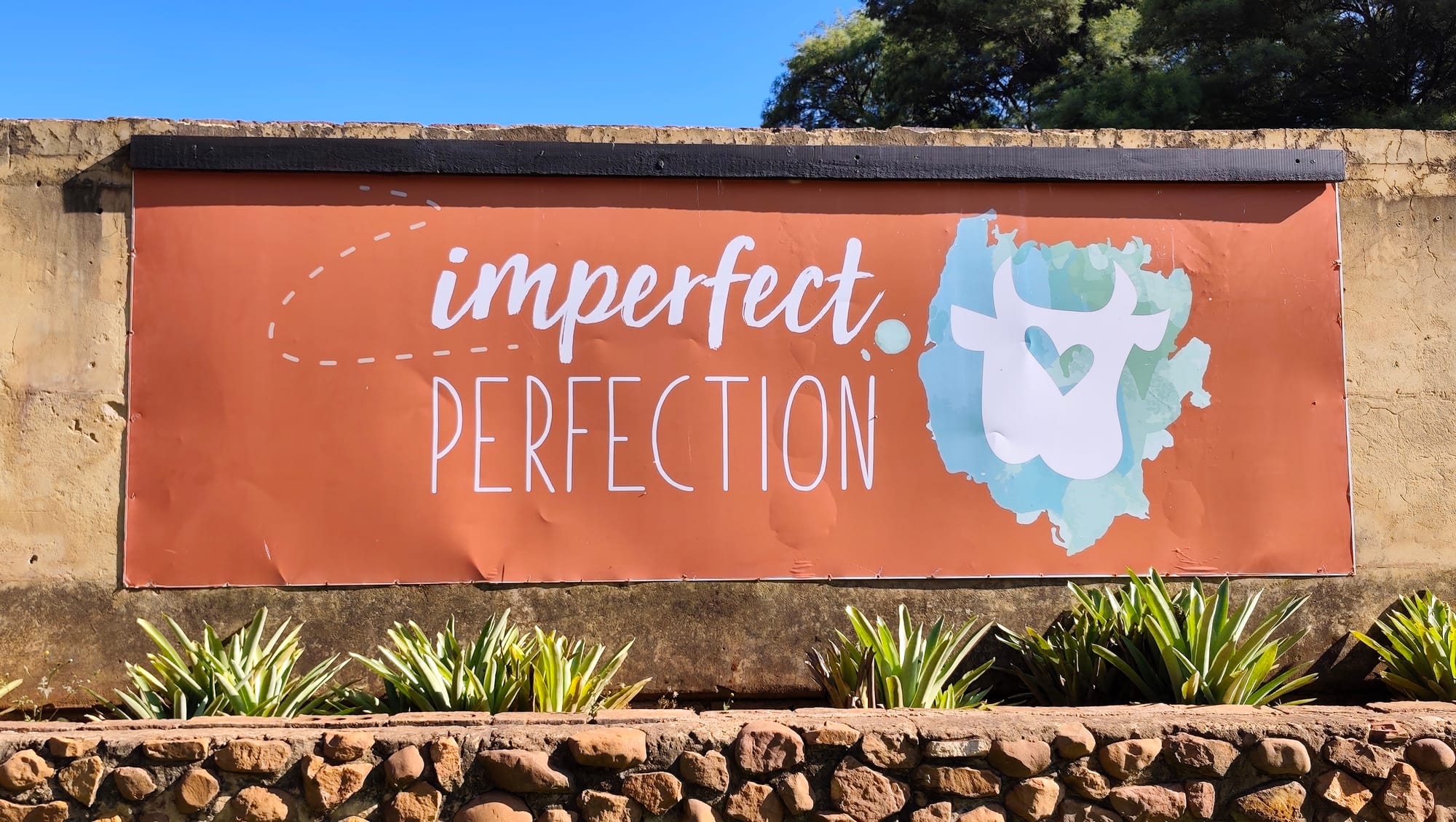 Imperfect Perfection Wedding