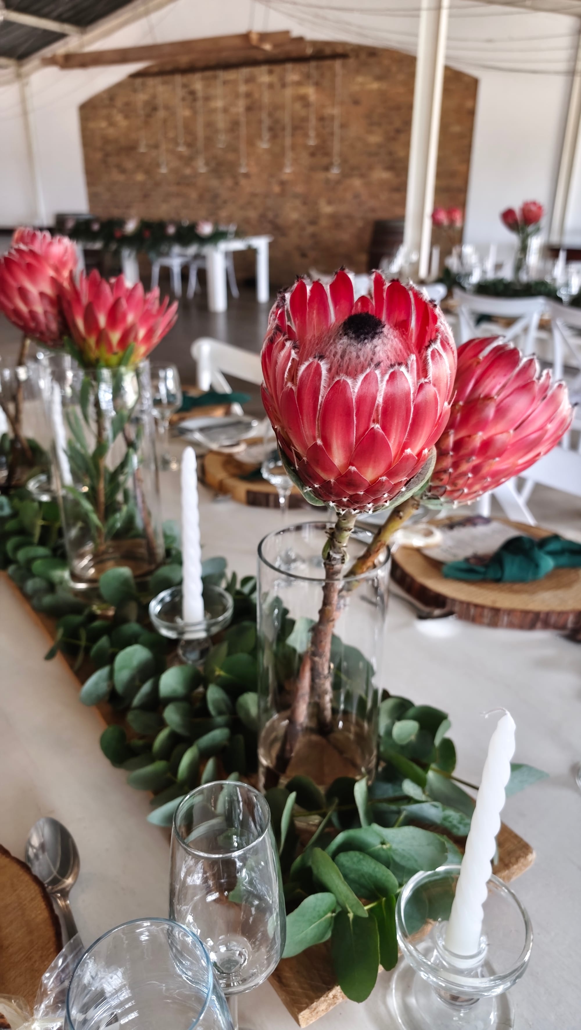 Harmonie Proteas Wedding