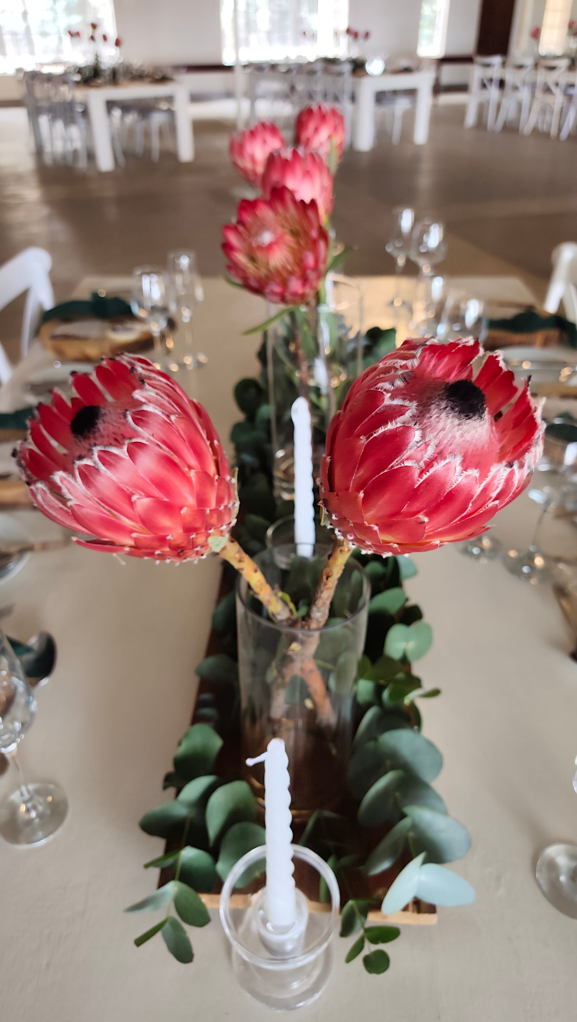 Harmonie Proteas Wedding