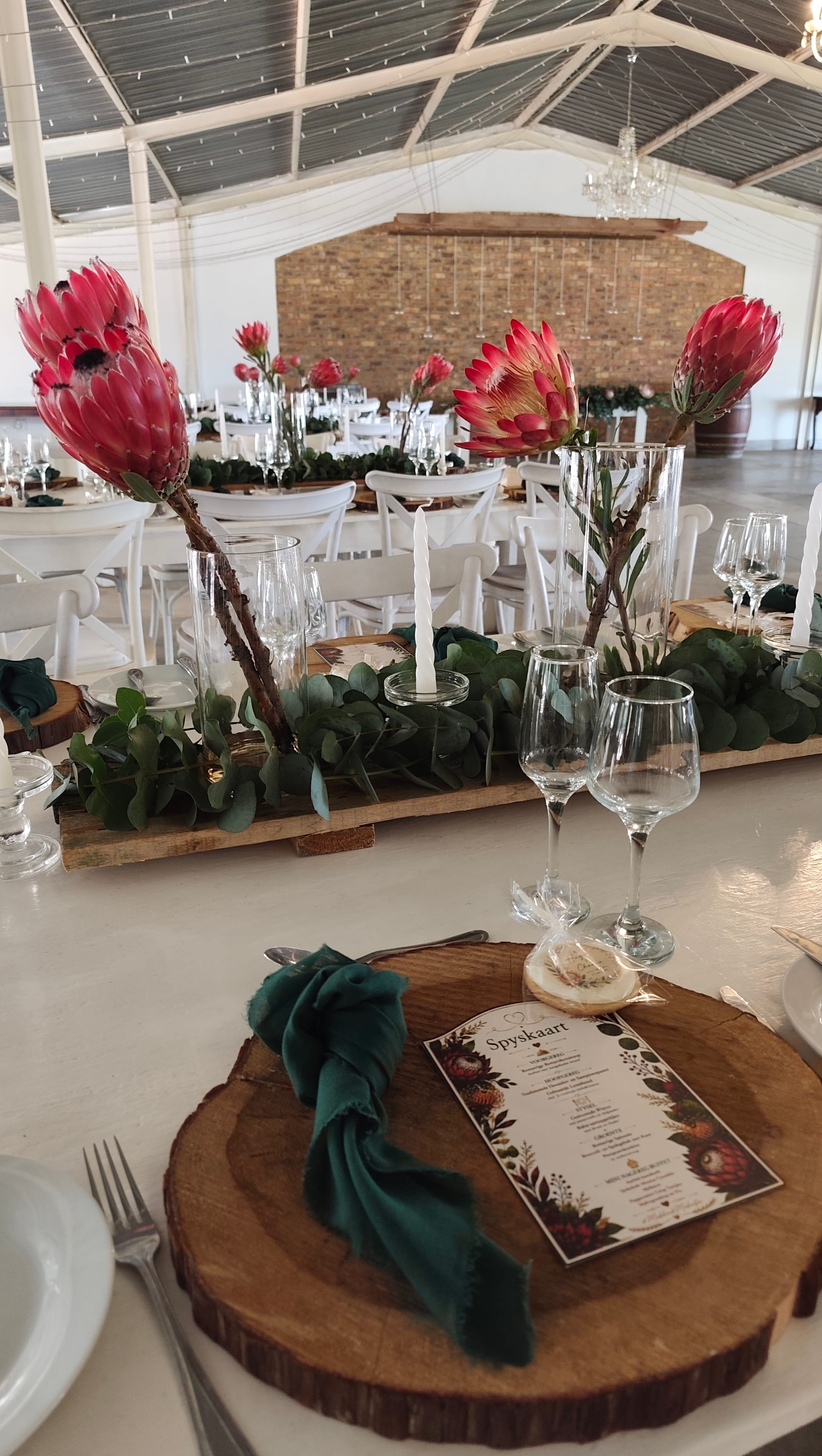 Harmonie Proteas Wedding