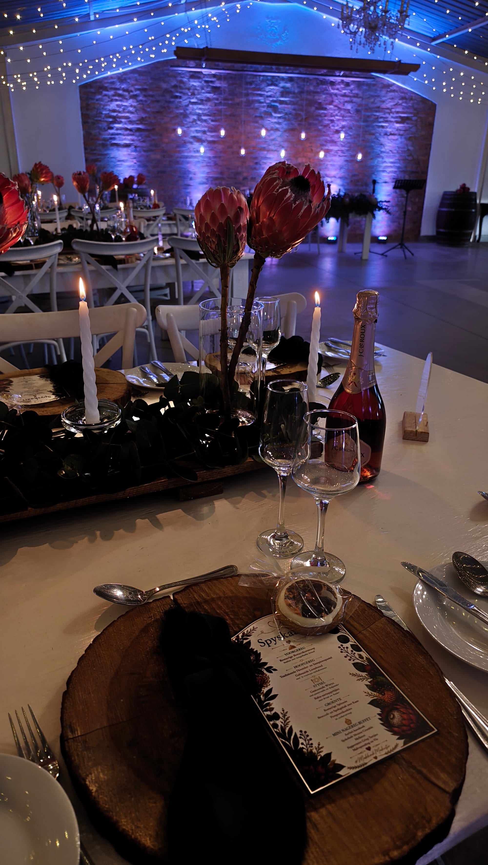 Harmonie Proteas Wedding