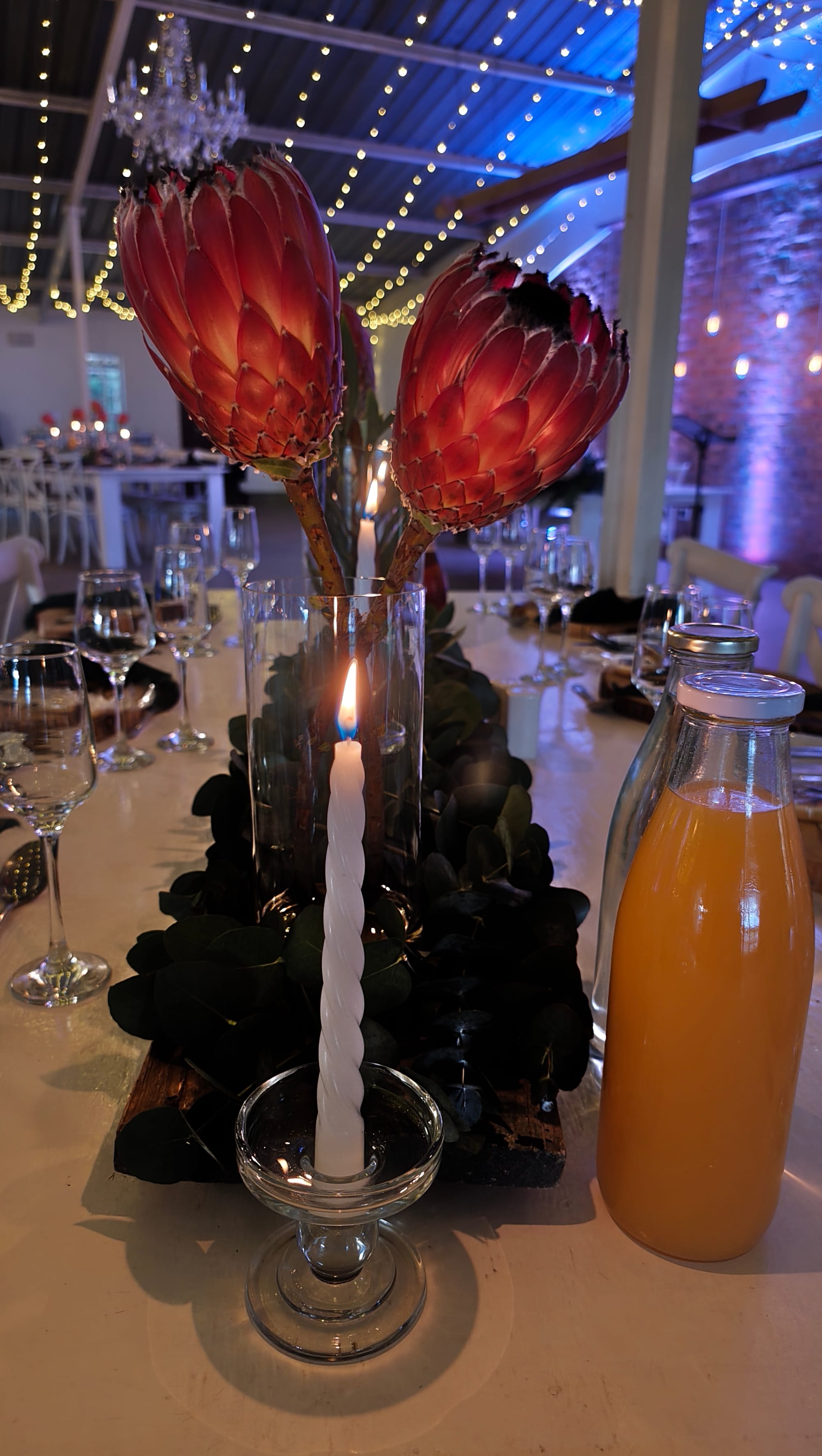 Harmonie Proteas Weddingv
