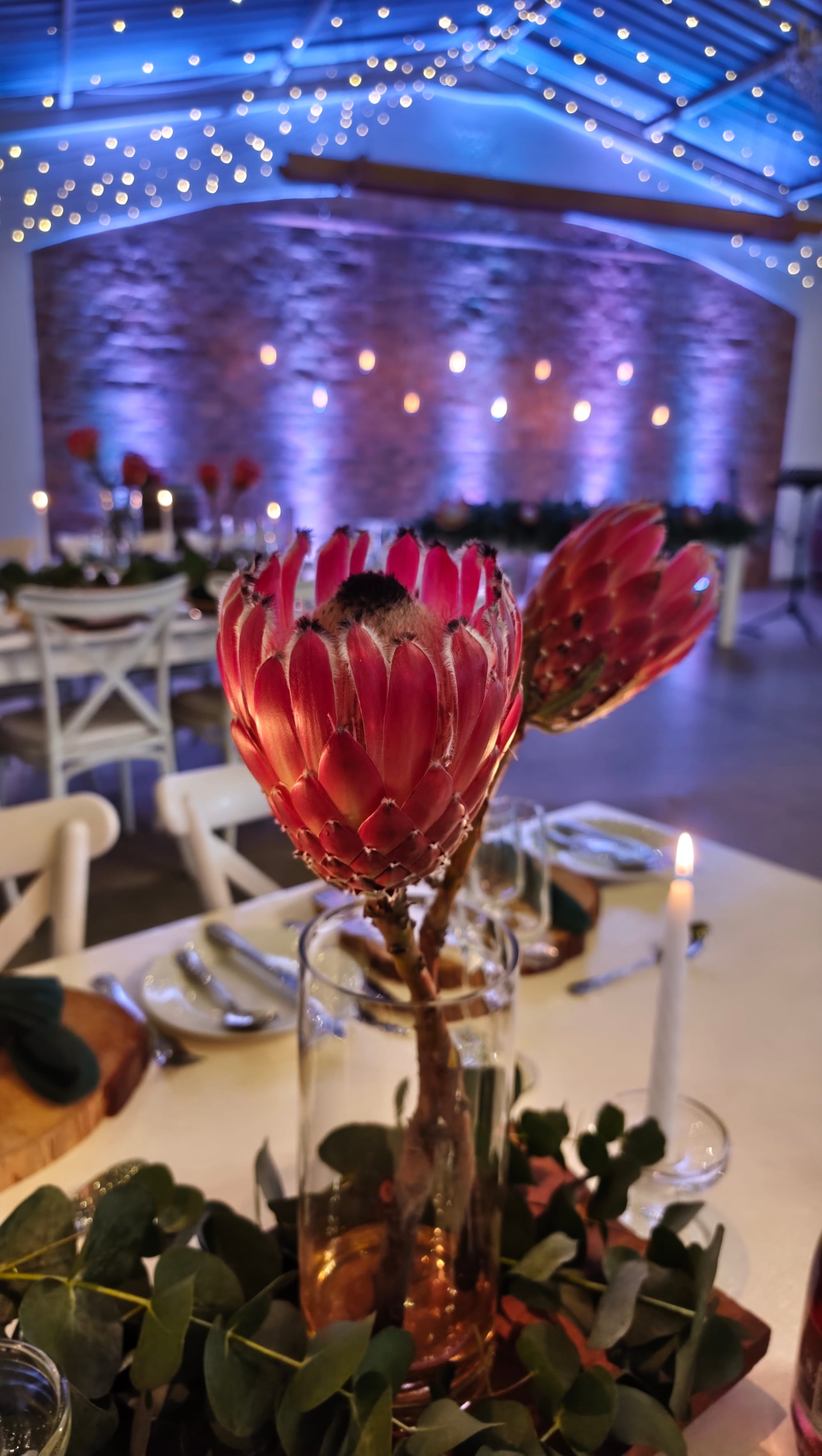 Harmonie Proteas Wedding