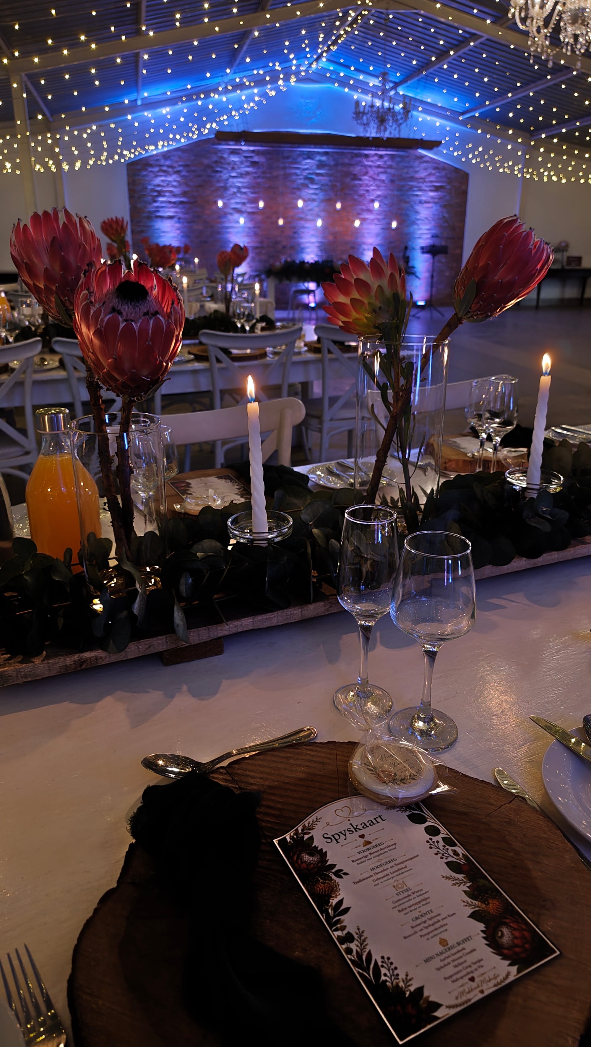 Harmonie Proteas Wedding