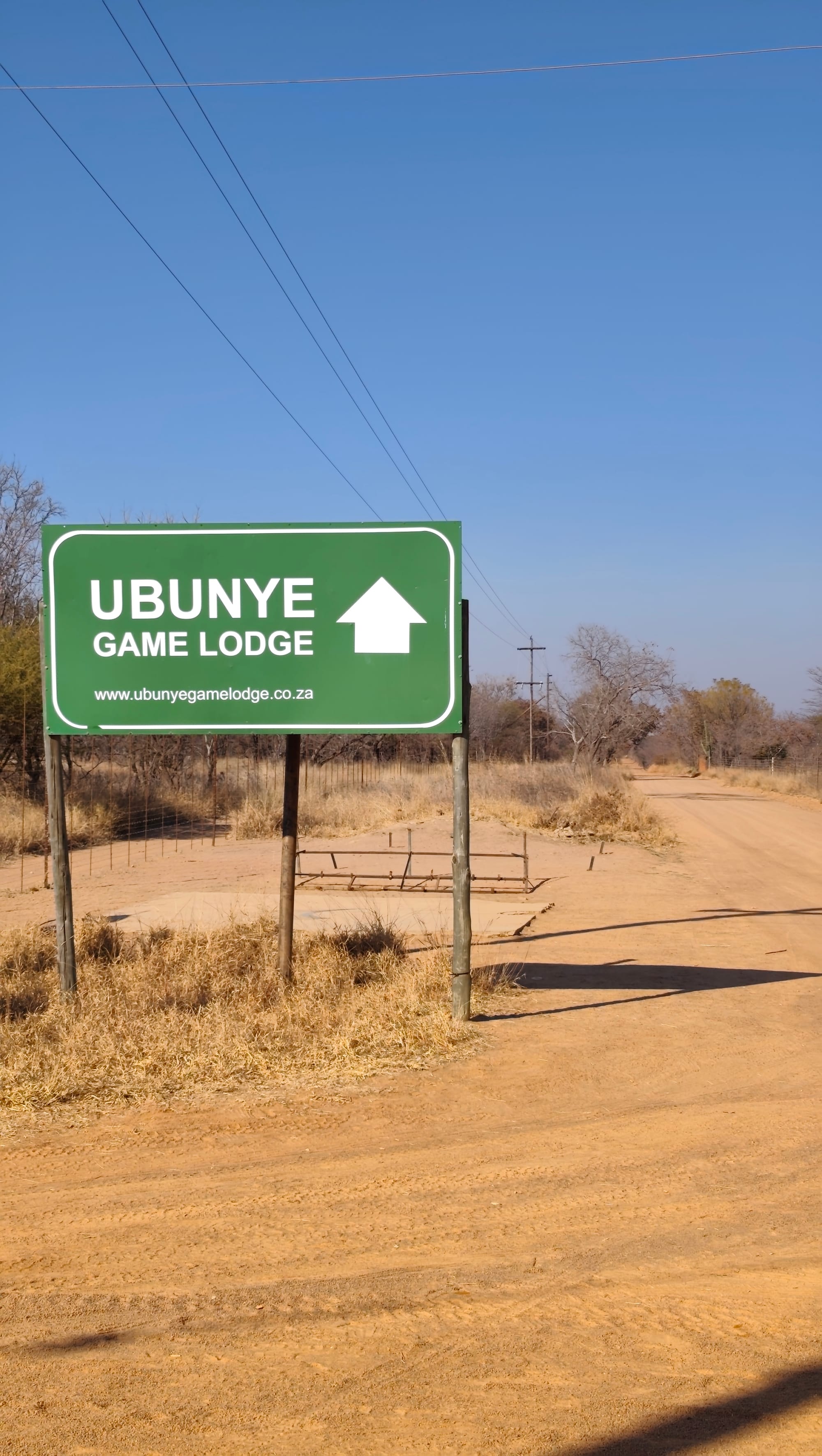 Ubunye Game Lodge Wedding