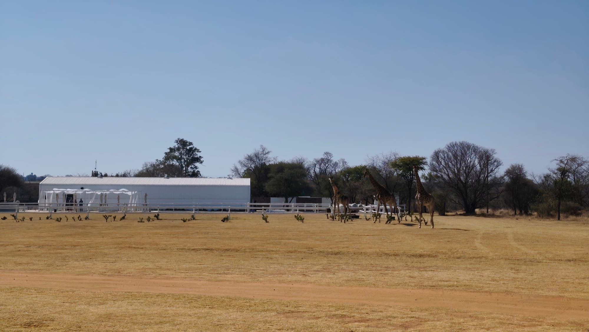 Ubunye Game Lodge Wedding