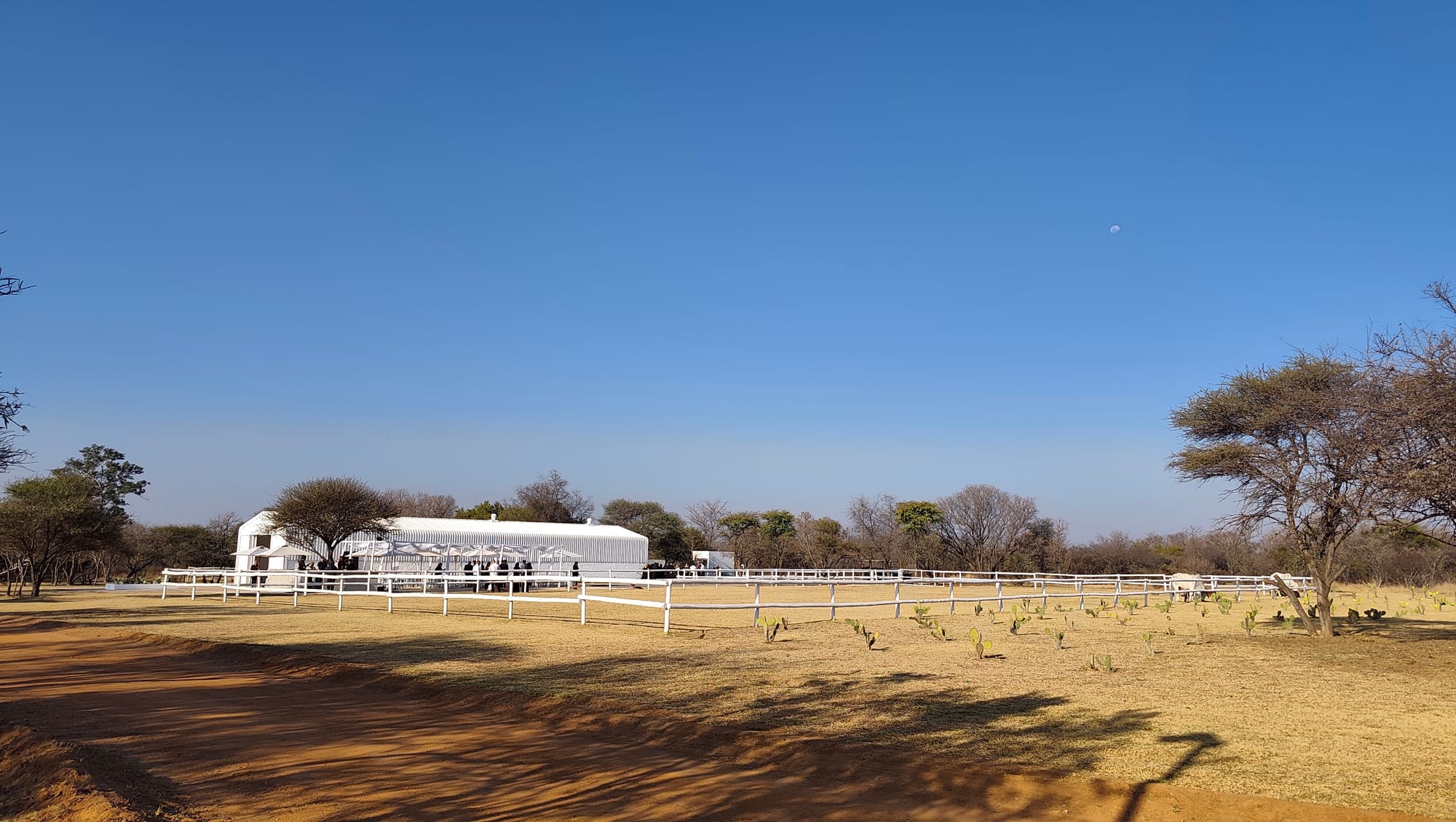 Ubunye Game Lodge Wedding