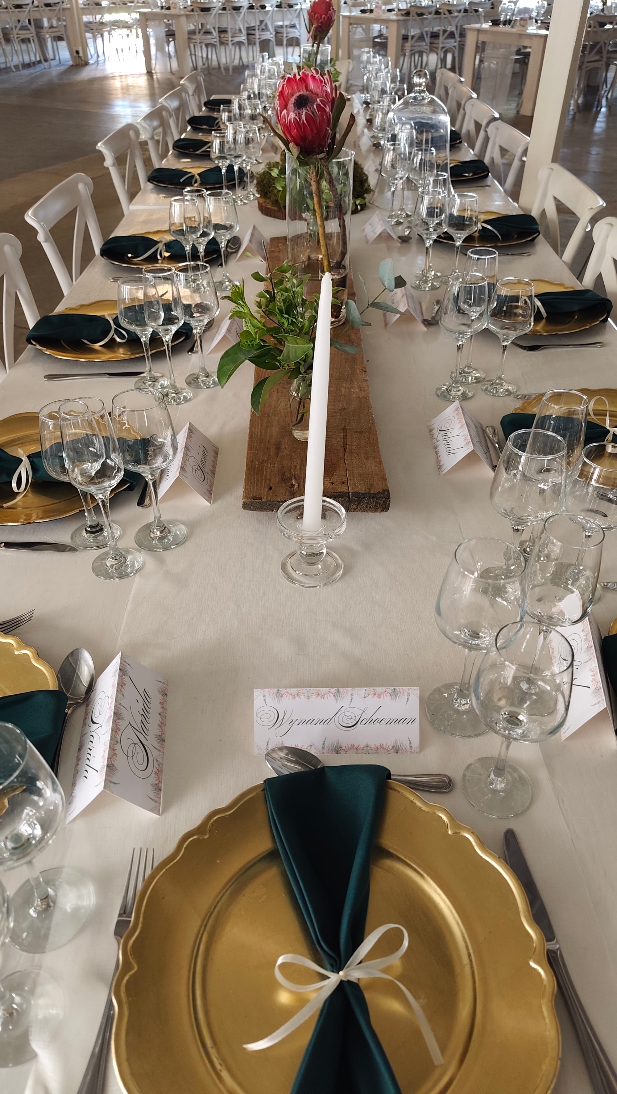 Harmonie Proteas Troue