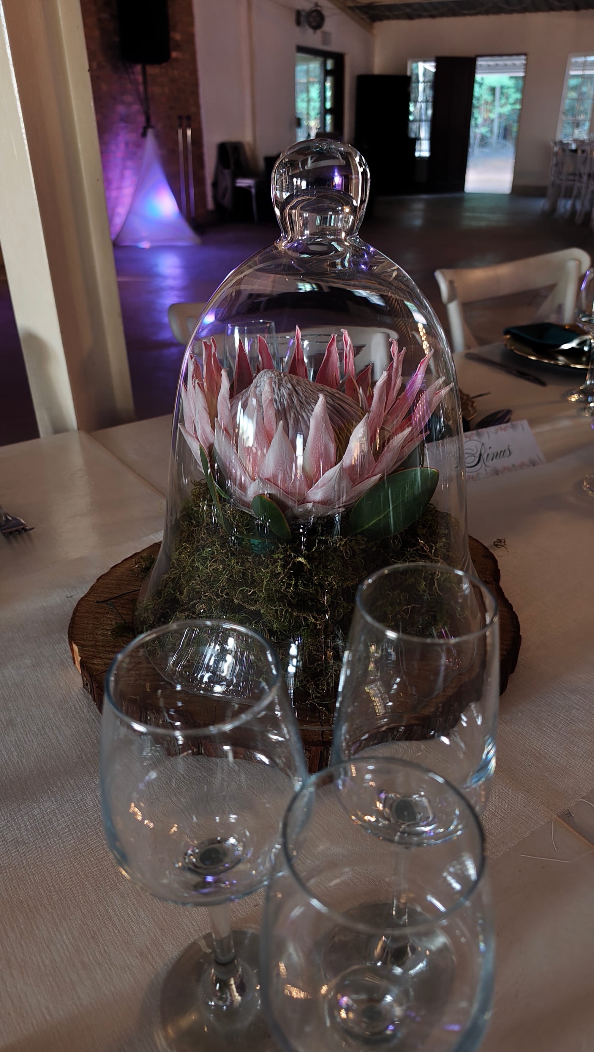 Harmonie Proteas Troue