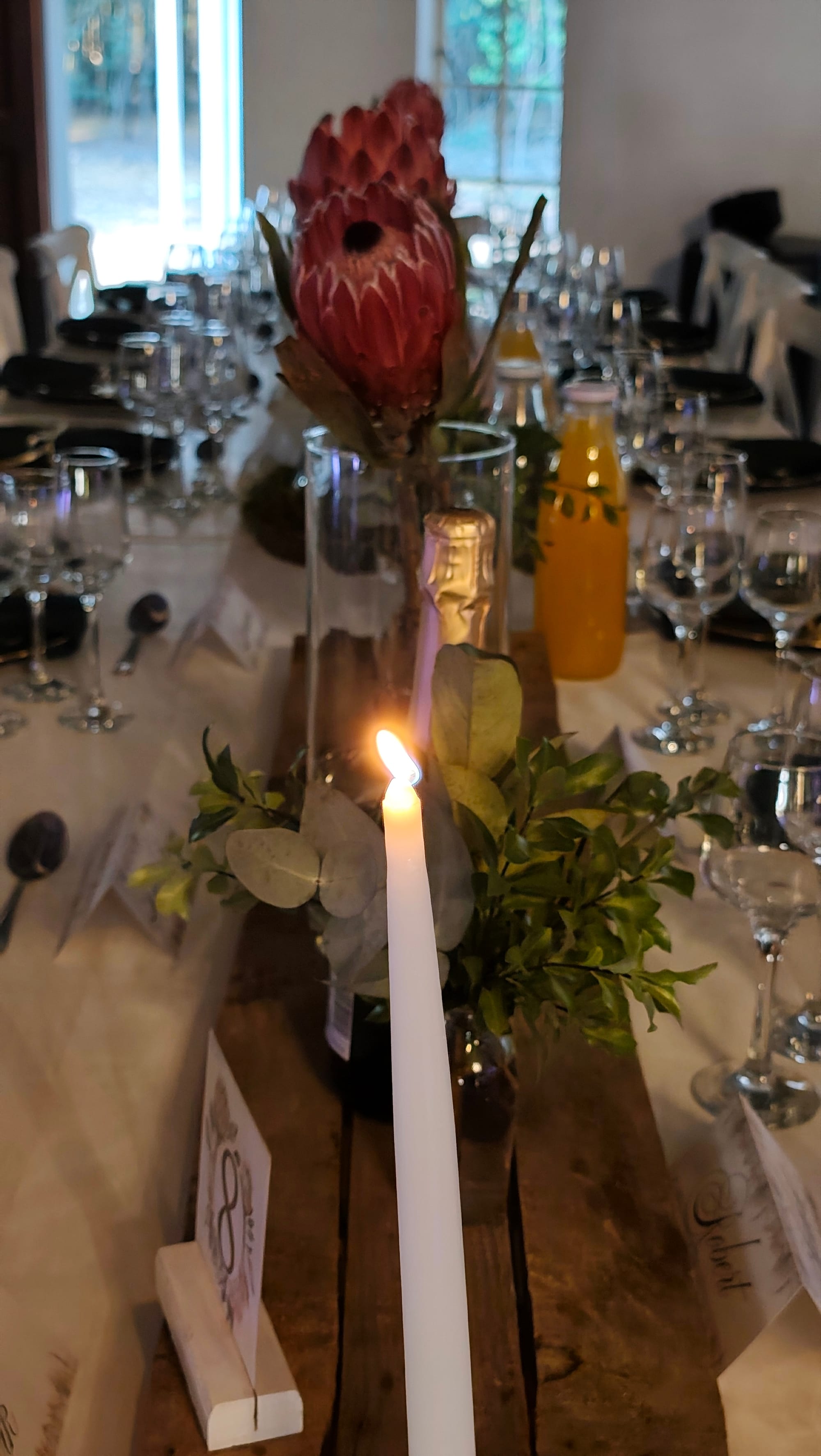 Harmonie Proteas Troue