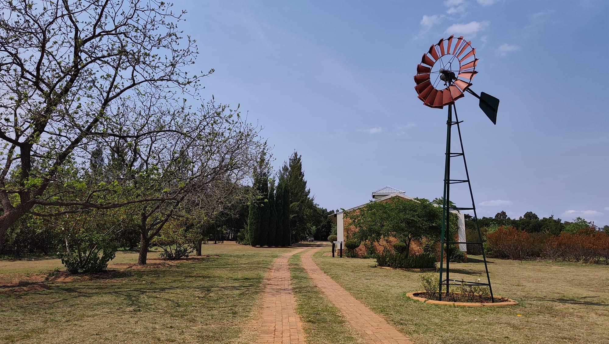 PJ & Hesmari Se Troue By Harmonie Proteas - #DreyerDans