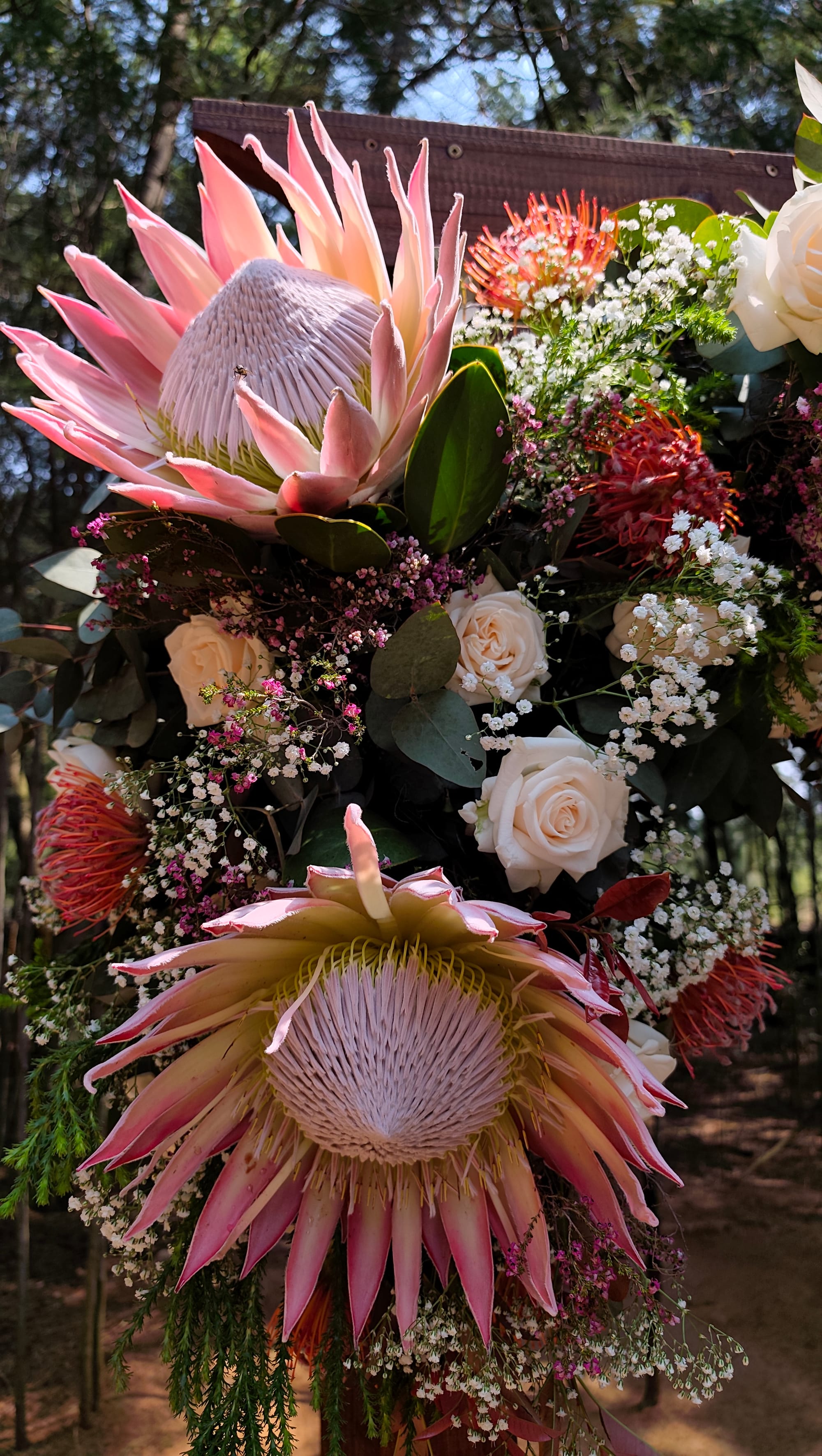 PJ & Hesmari Se Troue By Harmonie Proteas - #DreyerDans