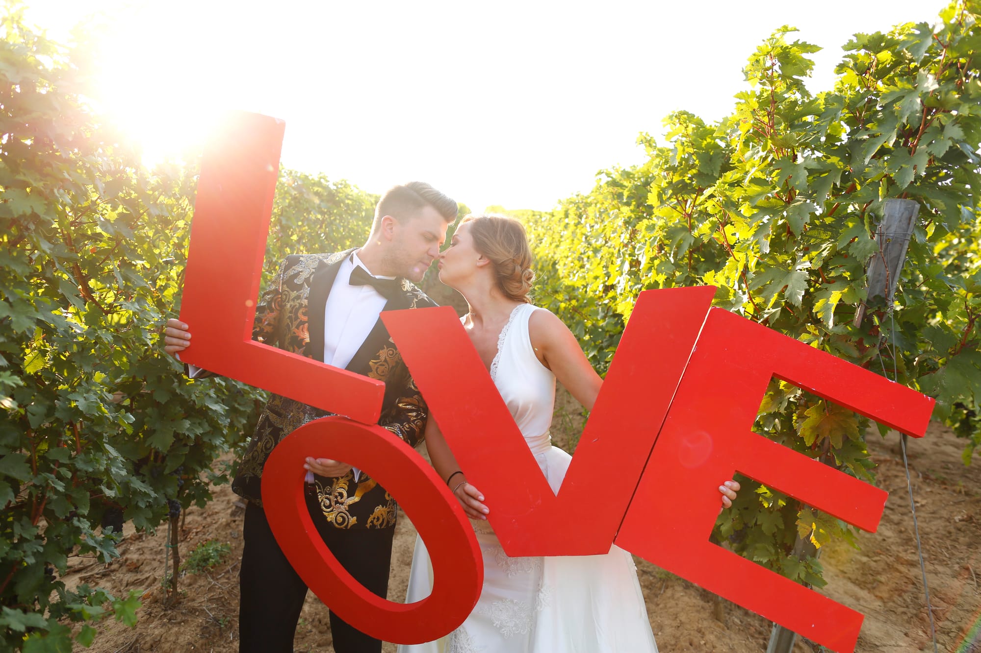 21 February, Waverley Hills Wine And Olive Estate, Western Cape