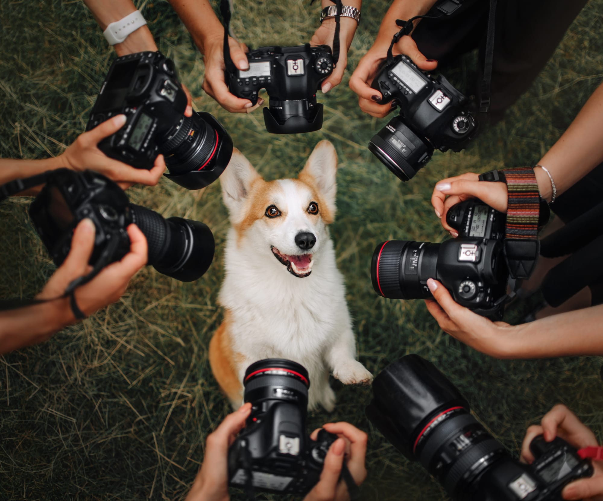 19 July 2026 - Photographer And Model Open Day At Makiti, Krugersdorp
