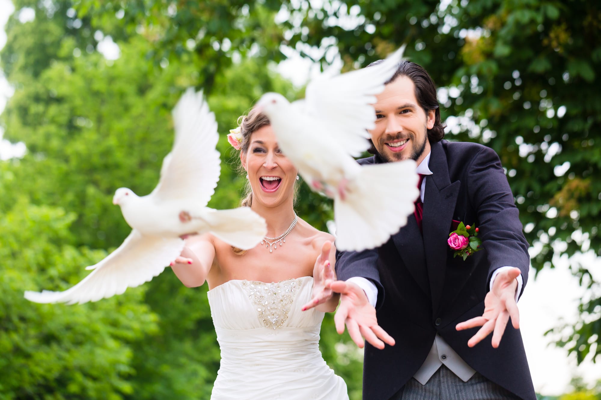 01 August 2026 - The Avairy Wedding Venue, Montagu, Western Cape