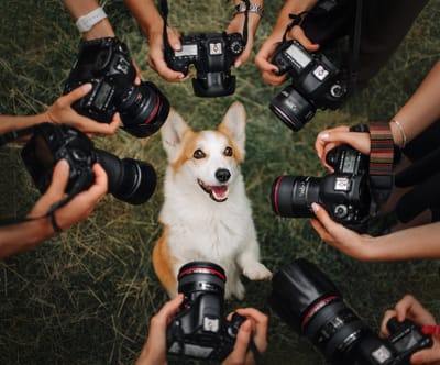 19 July 2026 - Photographer And Model Open Day At Makiti, Krugersdorp