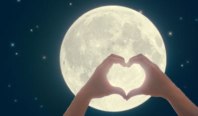 18 - 19 July 2026 - The Moon And Sixpence Venue, Muldersdrift, Gauteng