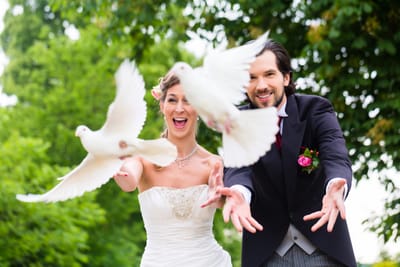 01 August 2026 - The Avairy Wedding Venue, Montagu, Western Cape