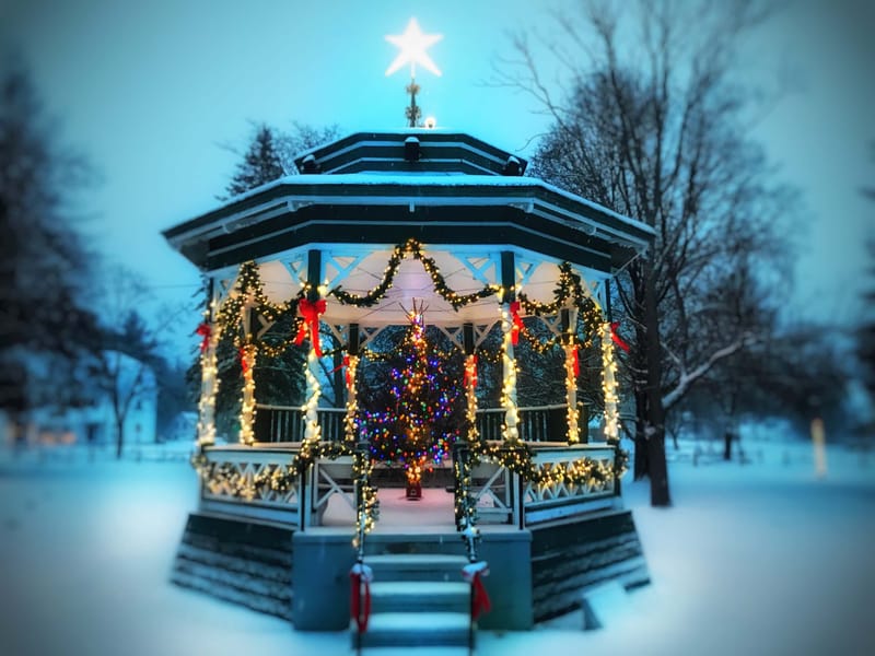 Townsend Tree Lighting