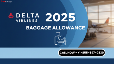 Delta Airlines 2025 Baggage Allowance