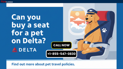 Can You Buy a Seat for a Pet on Delta?