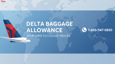 What Size and Weight Limits Apply in Delta Airlines' Baggage Information?