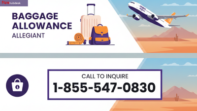 How Can You Save Money on Baggage Allowance Allegiant Charges?