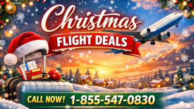 How to Get Cheap Flight Tickets for Christmas?