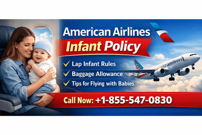 How Do I Add a Lap Infant on American Airlines?
