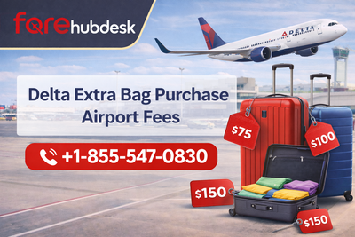 How many checked bags on Delta?