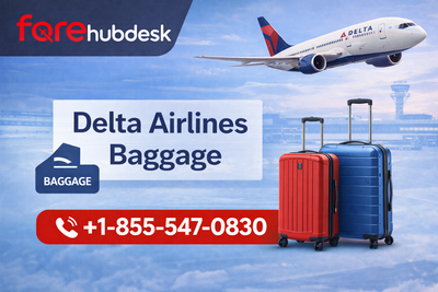Does Delta Basic include carry-on?