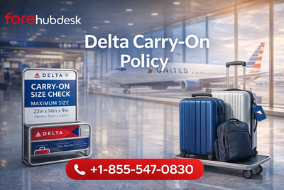 What are the current Delta carry-on rules?
